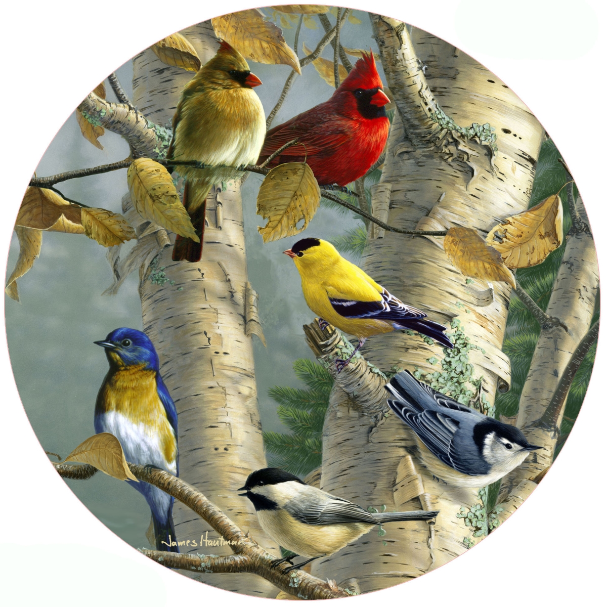 Picture of Andreas  Jo-HB1107 Songbird Favorites Jar Opener (HB)