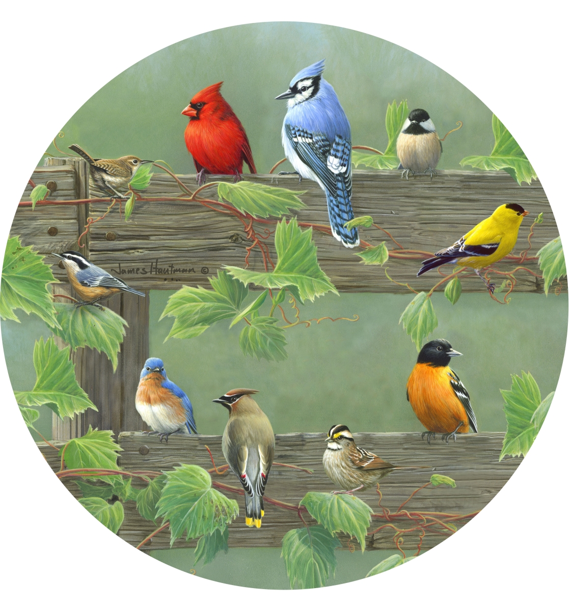 Picture of Andreas  JO-HB1183 Rail Birds Jar Opener (HB)