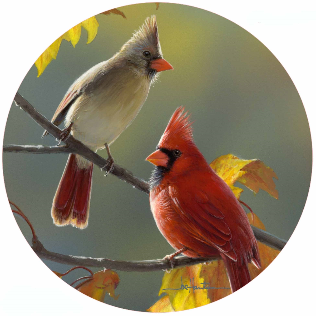 Picture of Andreas  JO-HB3242 Golden Morning Cardinals Jar Opener (HB)