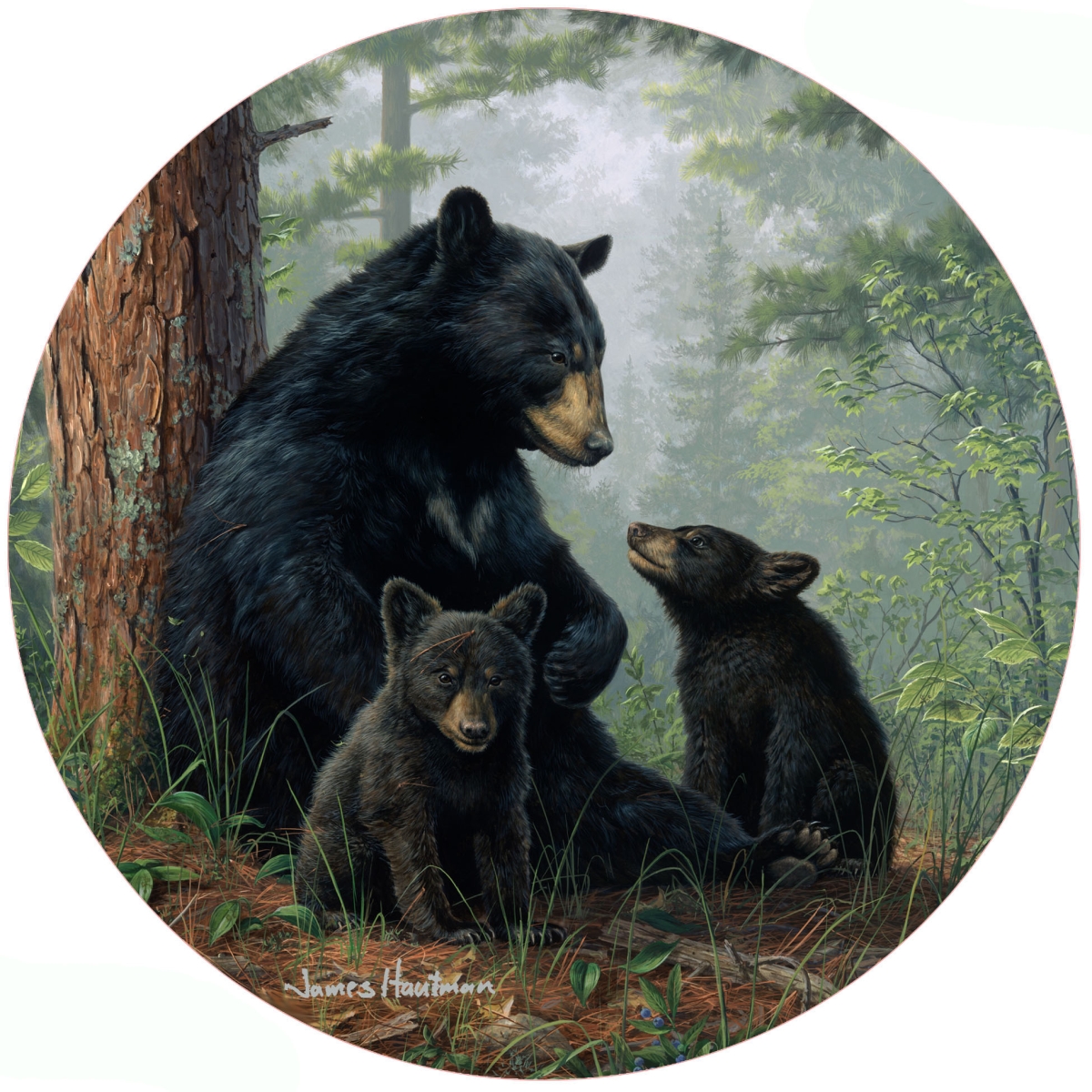 Picture of Andreas  JO-HB1138 Bear Family Jar Opener (HB)