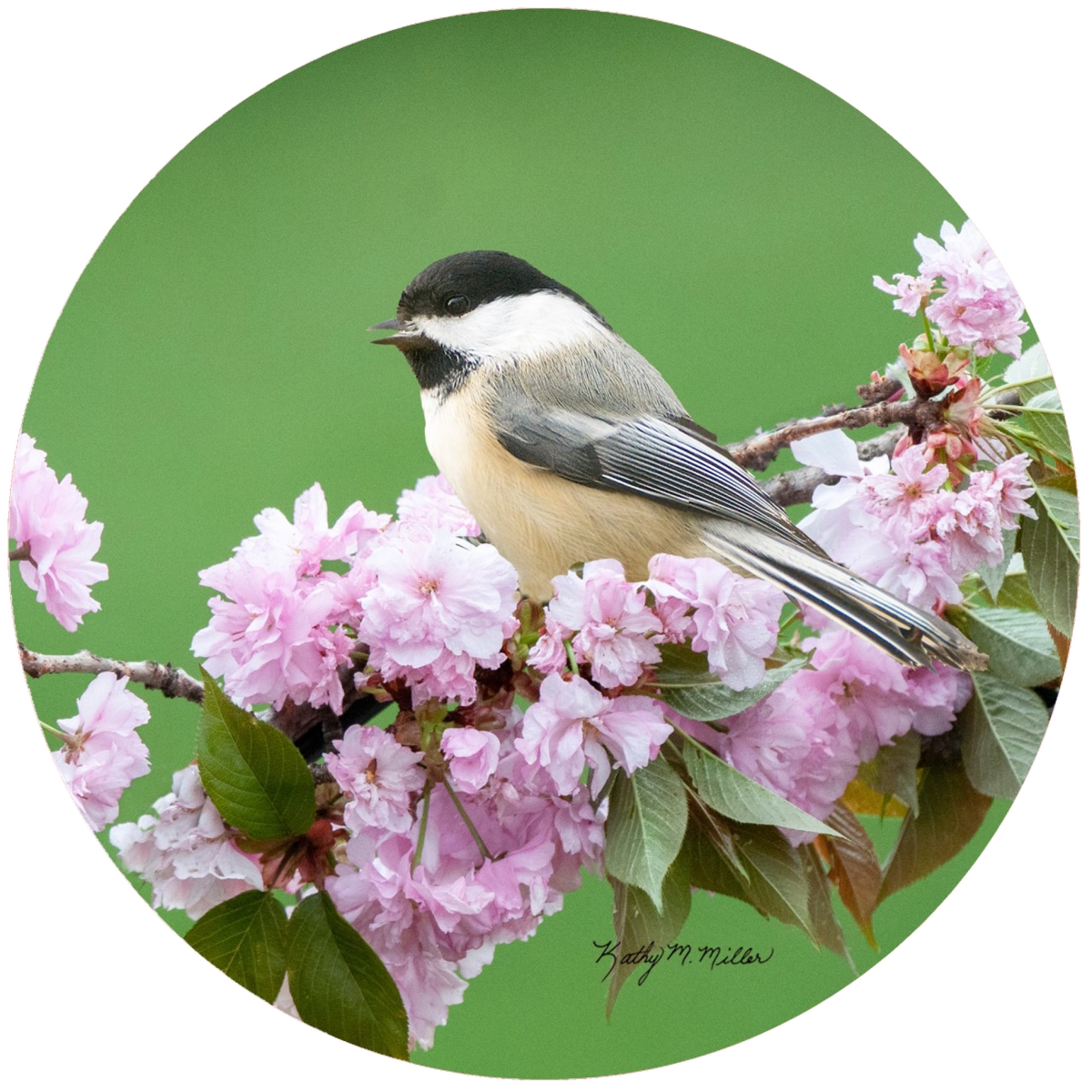 Picture of Andreas  JO-KMCH4 Chickadee & Blossoms Jar Opener