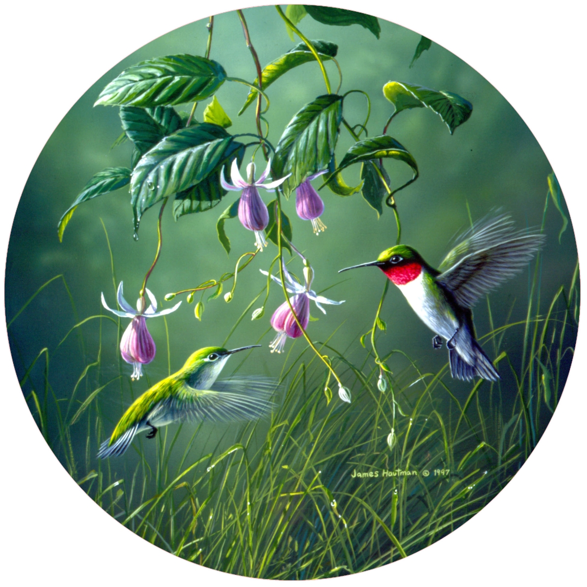 Picture of Andreas  JO-HB1024 Hummingbird Pair Jar Opener