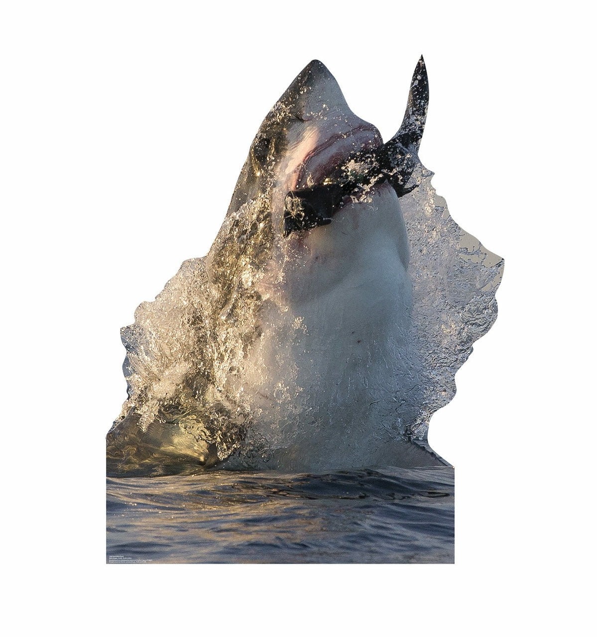 Picture of Advanced Graphics 1986 61 x 46 in. Great White Shark Cardboard Standup