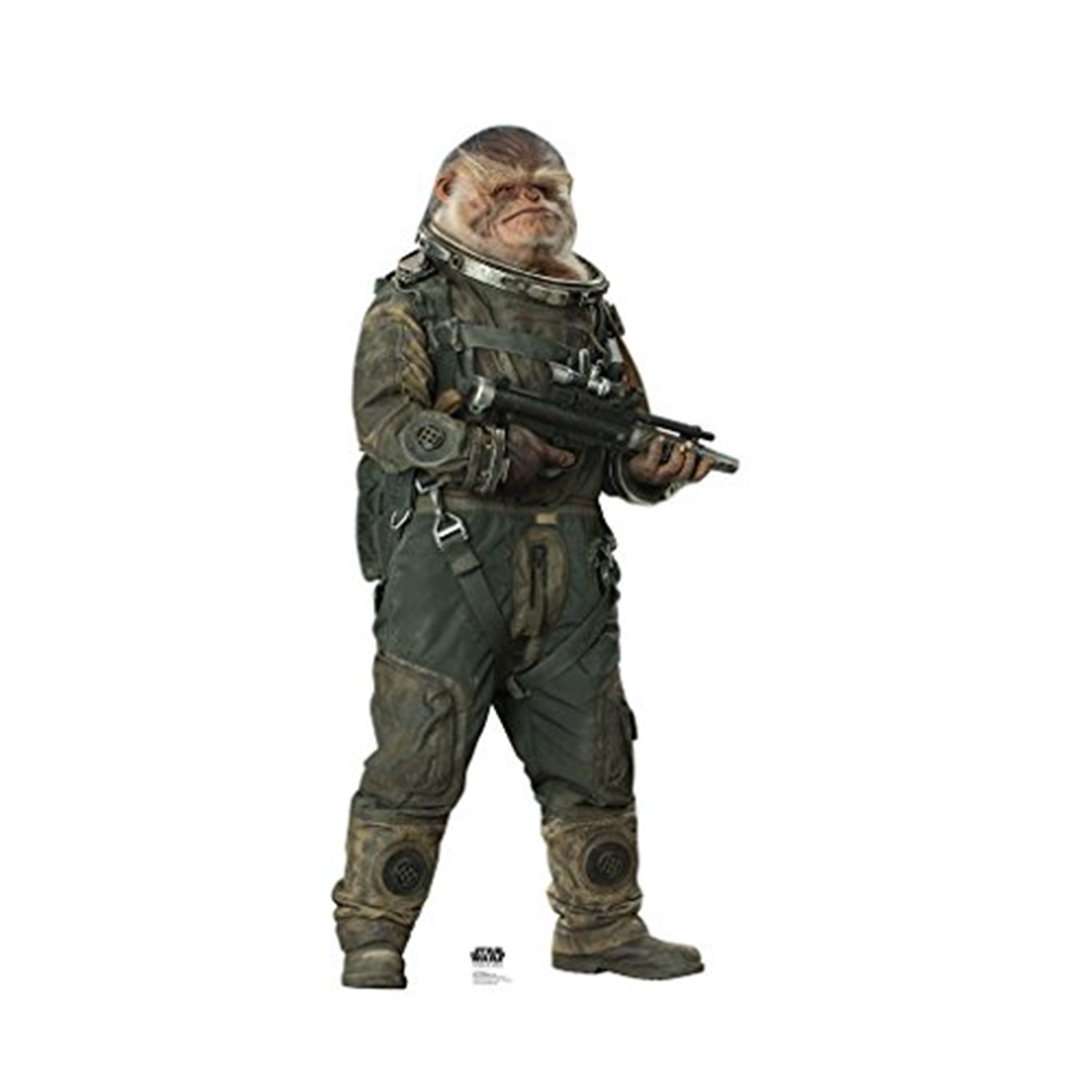 64 x 30 in. Bistan - Rogue One Cardboard Standup