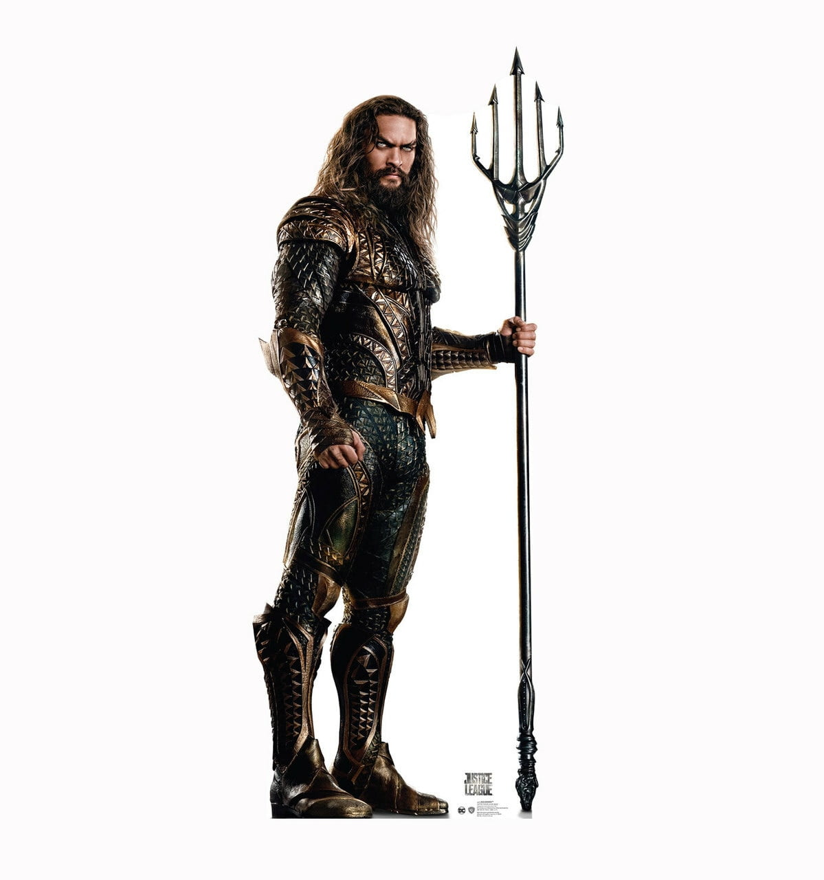 Picture of Advanced Graphics 2473 81 x 33 in. Aquaman - Justice League Cardboard Standup