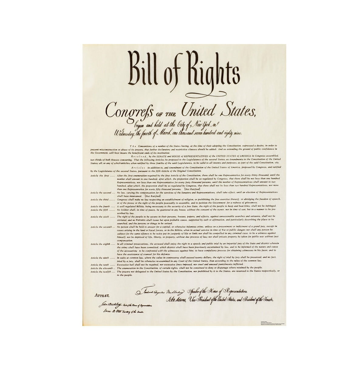 62 x 45 in. Bill of Rights Cardboard Standup