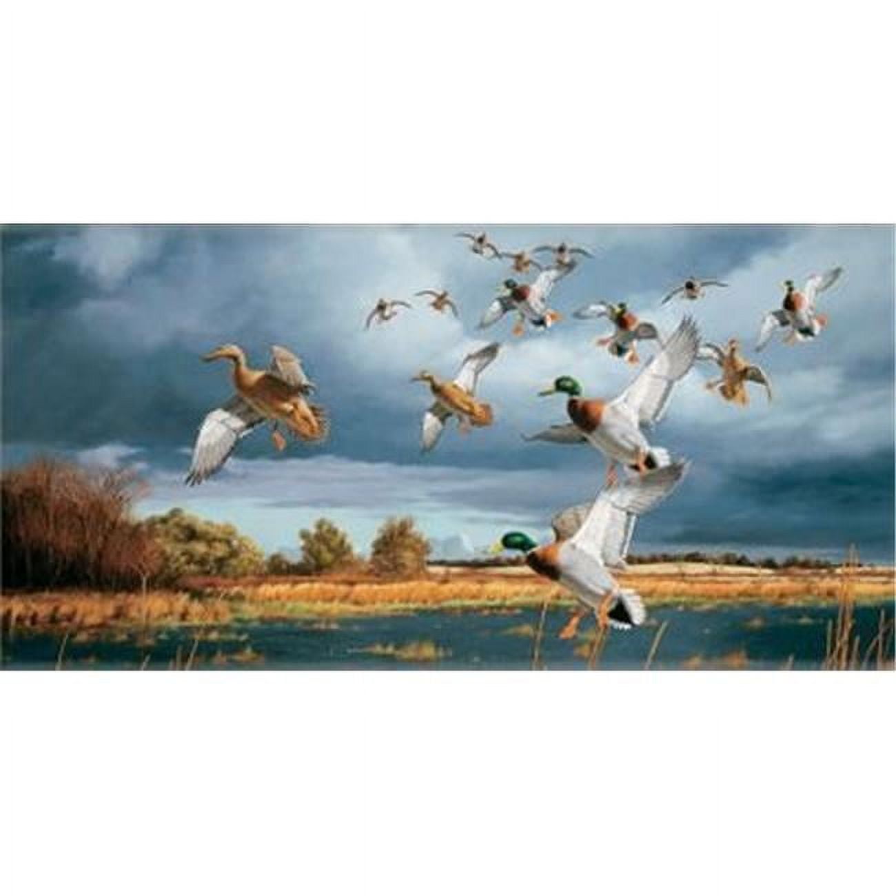 Picture of Advanced Graphics CB02903958 8 x 4 in. Ducks Mega Mural - Banner