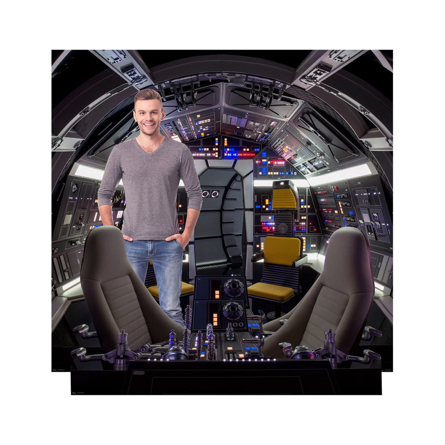 Picture of Advanced Graphics 2664 Cockpit of Millenium Falcon Backrop - Star Wars Han Solo Movie