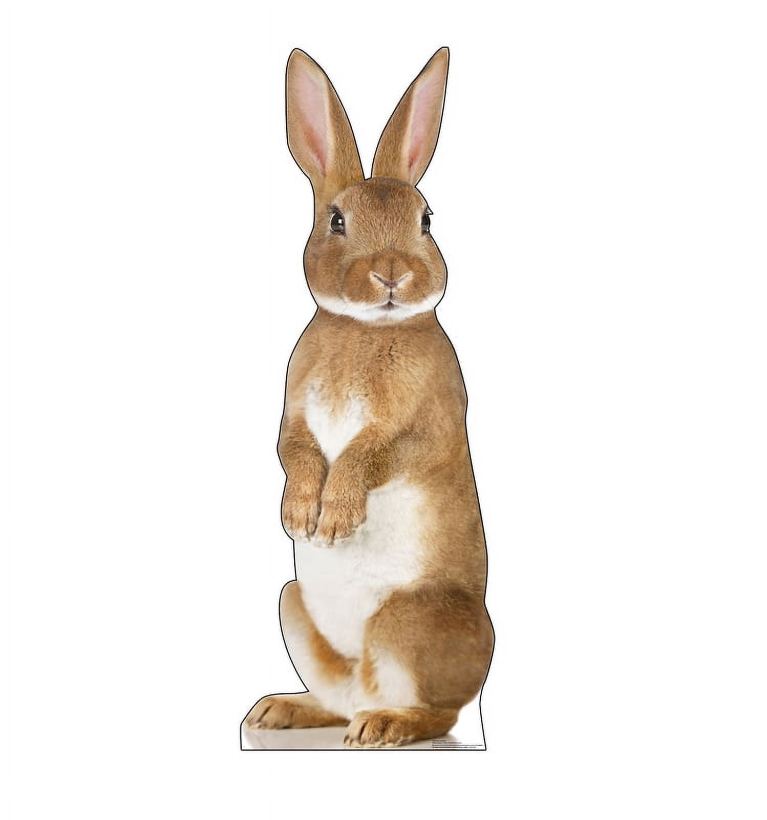 72 x 26 in. Bunny Rabbit Cardboard Cutout Standup