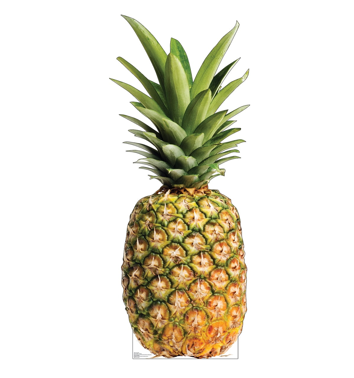 76 x 33 in. Pineapple Cardboard Cutout