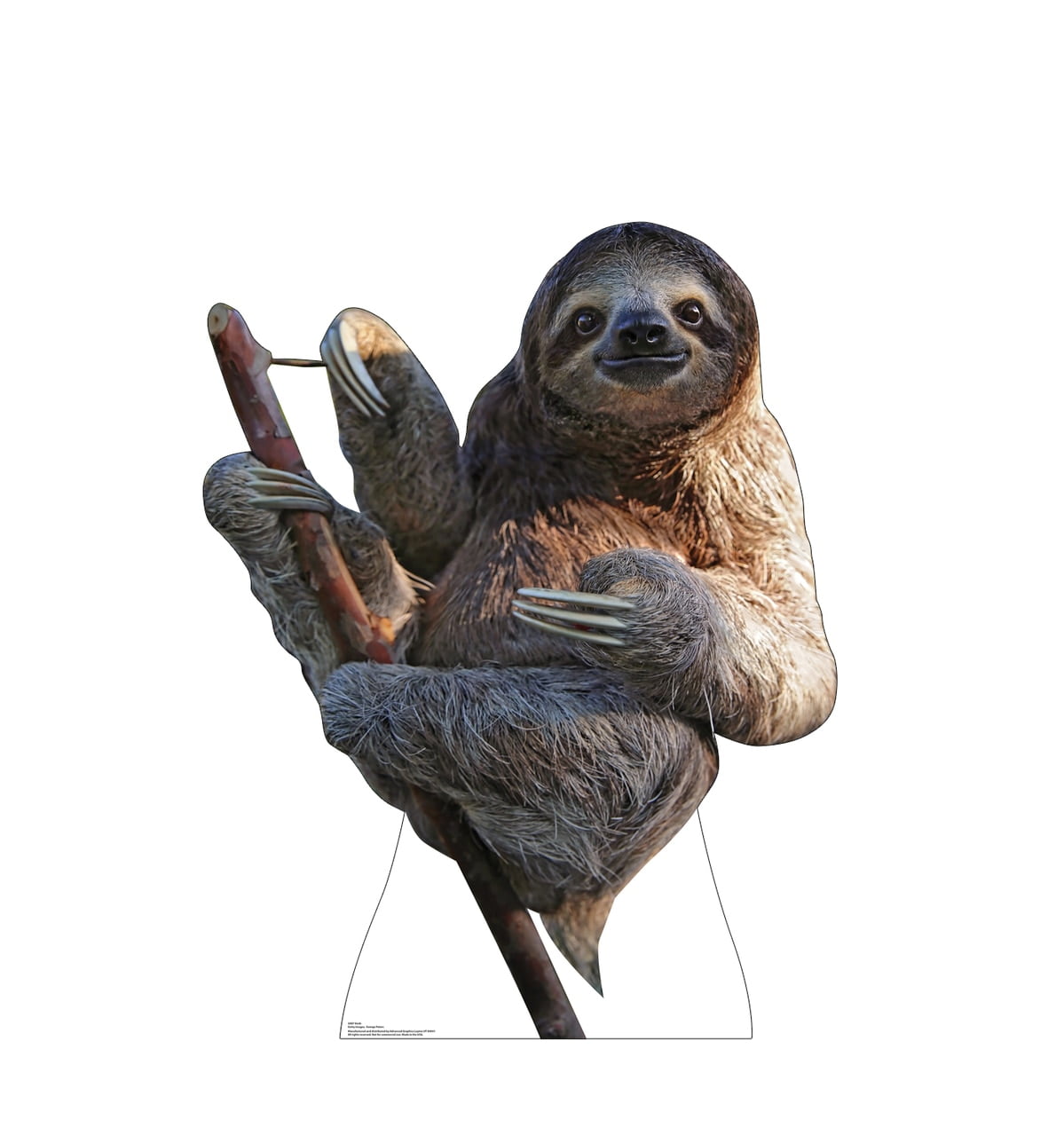 48 x 38 in. Sloth Cardboard Cutout