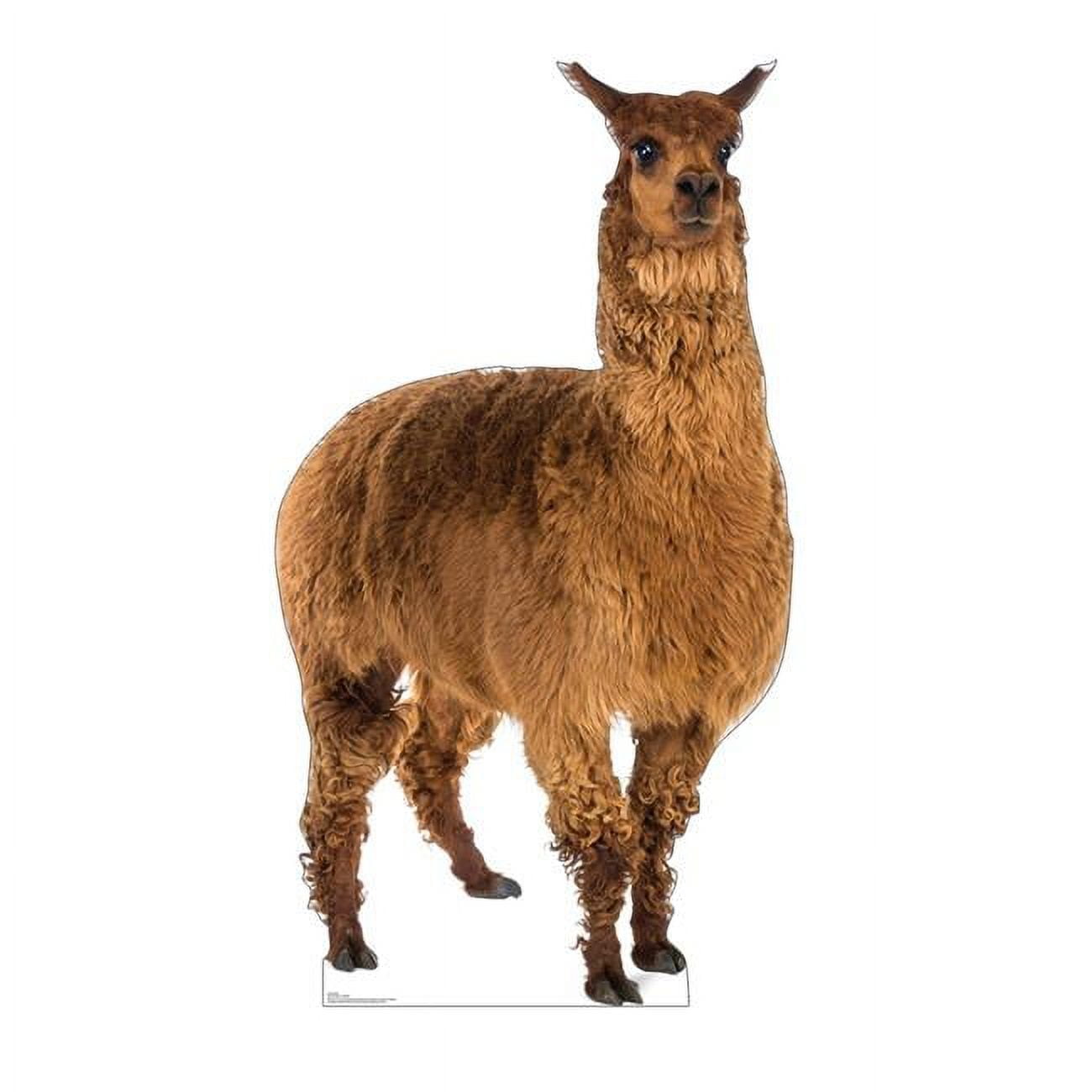 72 x 40 in. Llama Cardboard Cutout
