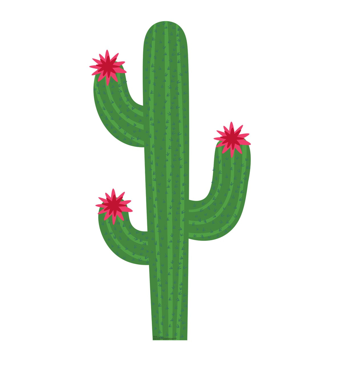 Picture of Advanced Graphics 3025 71 x 36 in. Cactus Cardboard Cutout