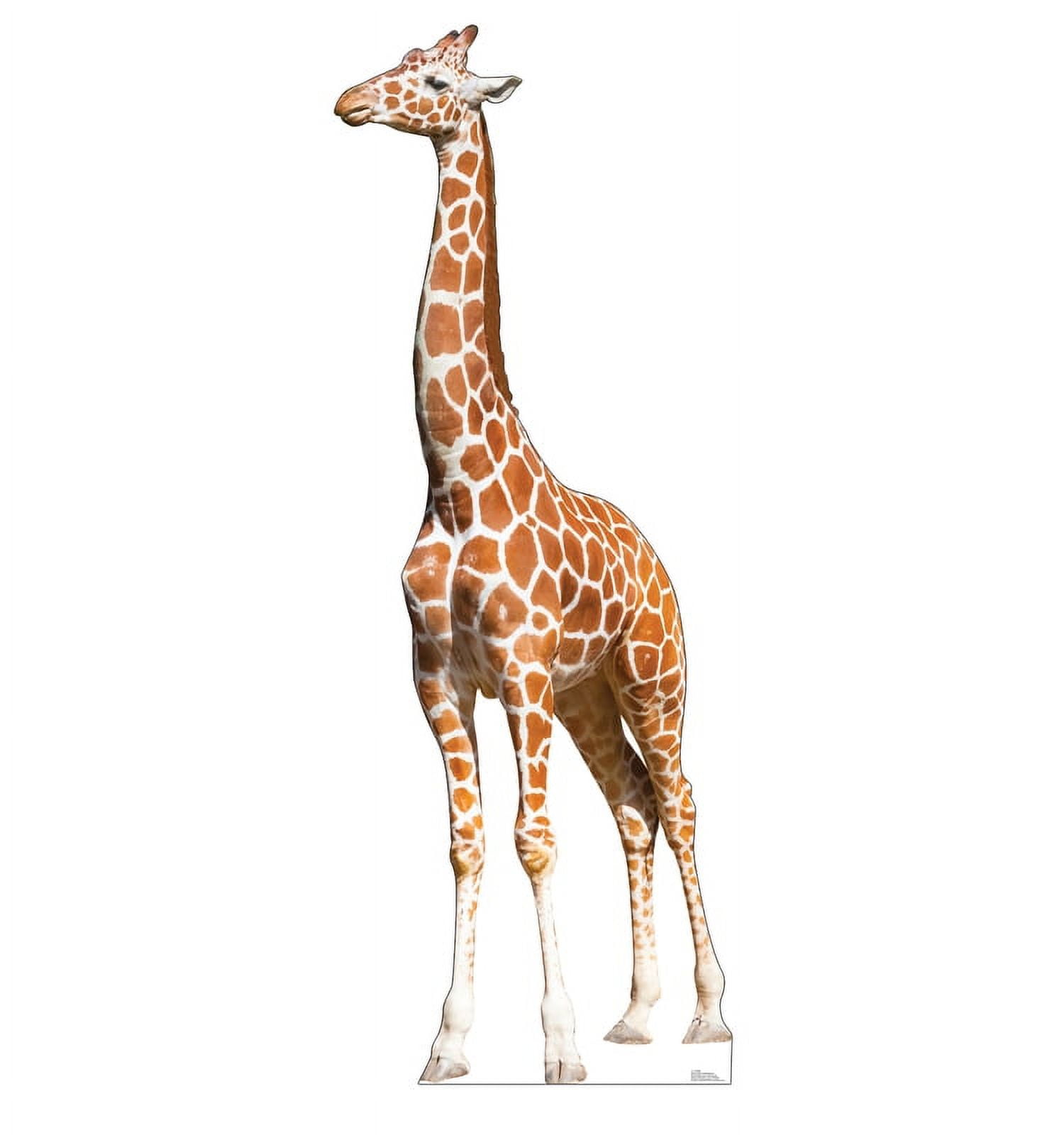 Picture of Advanced Graphics 3171 88 x 33 in. Giraffe Cardboard Cutout