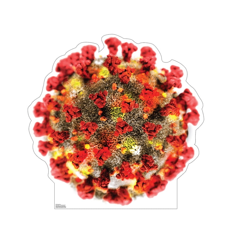 45x 45 in. Coronavirus Cardboard Cutout