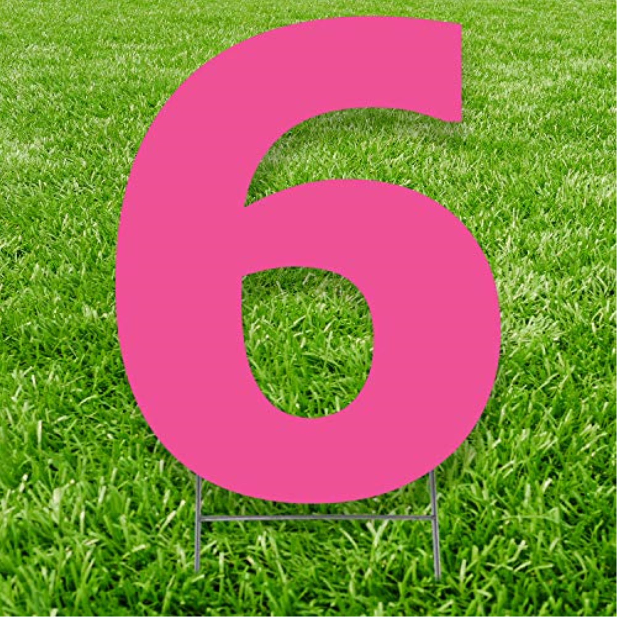 20 x 15 in. Number 6 Yard Sign, Pink