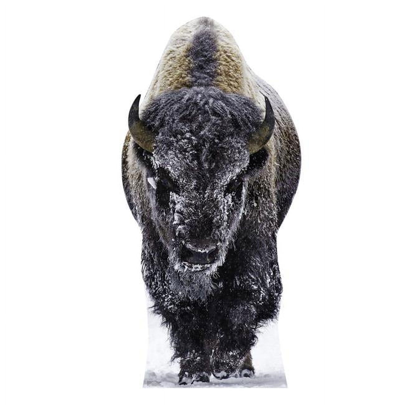 76 x 36 in. Yellowstone Bison Life-Size Cardboard Cutout