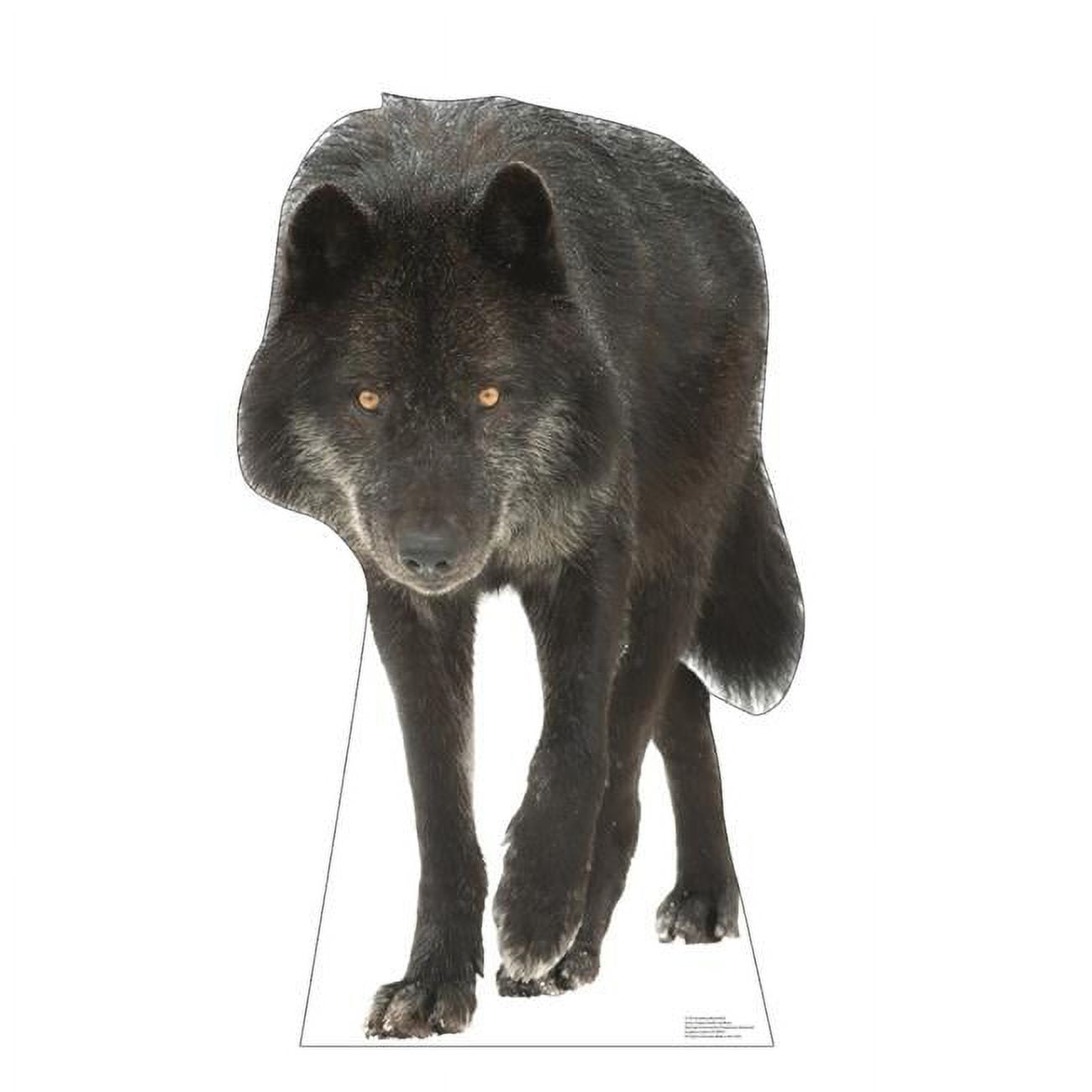 42 x 25 in. Canadian Black Wolf Life-Size Cardboard Cutout