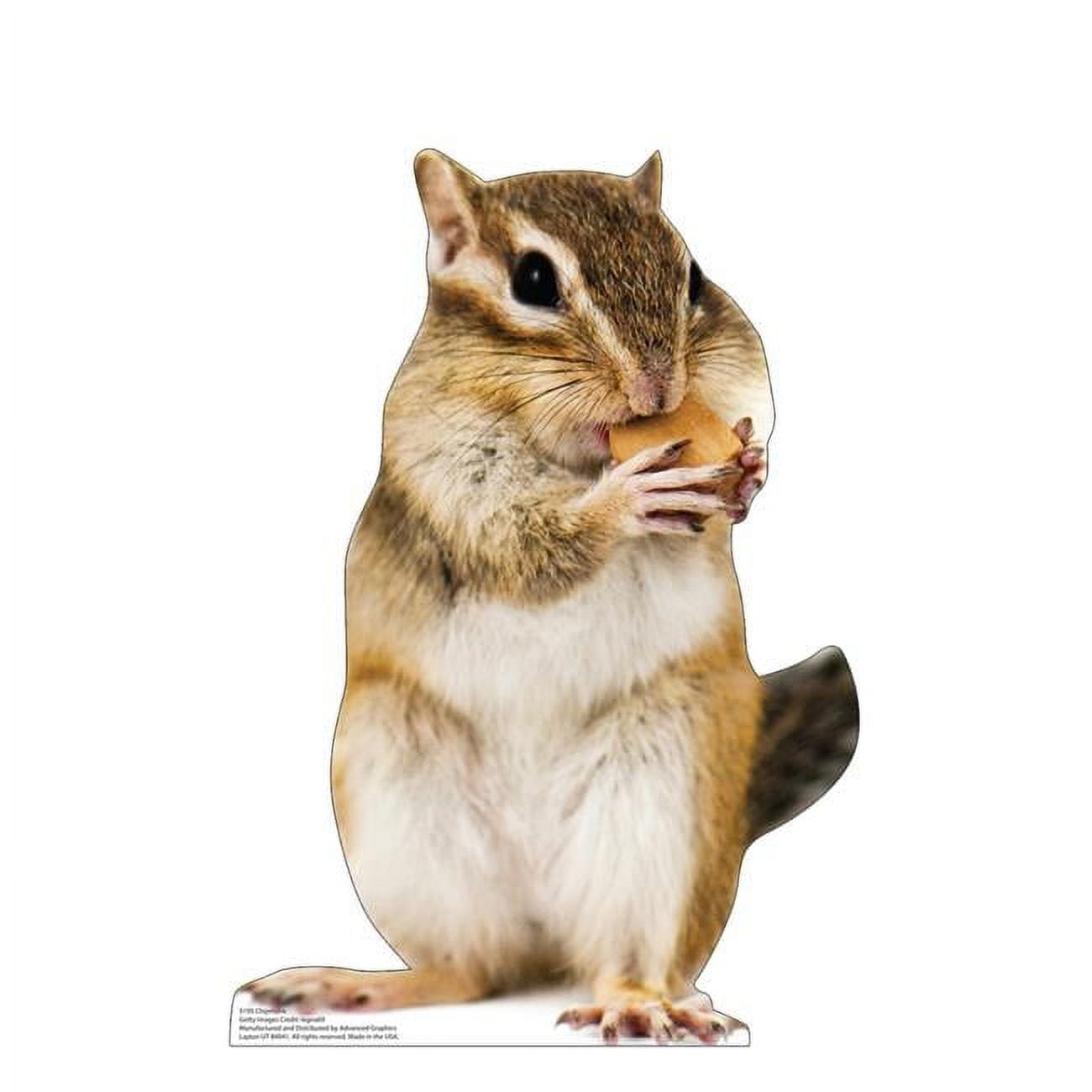 21 x 14 in. Chipmunk Life-Size Cardboard Cutout