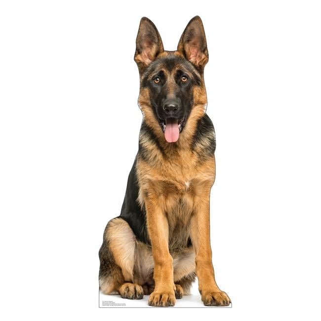 5212 46 x 21 in. German Shepherd Life-Size Cardboard Cutout