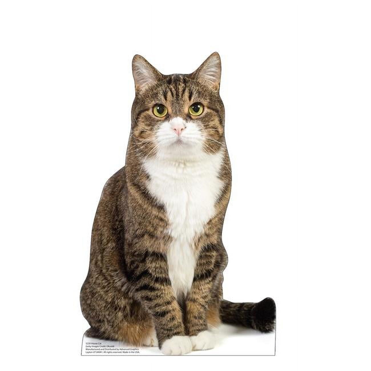 21 x 13 in. House Cat Life-Size Cardboard Cutout