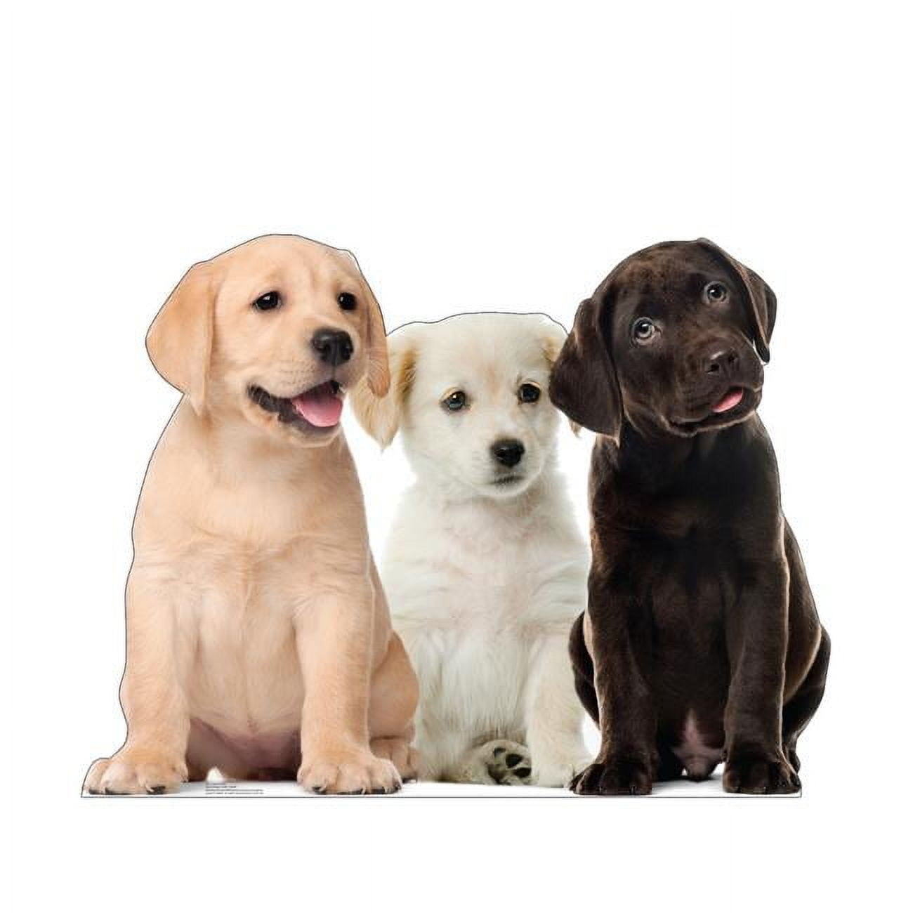 36 x 48 in. Puppy Group Life-Size Cardboard Cutout