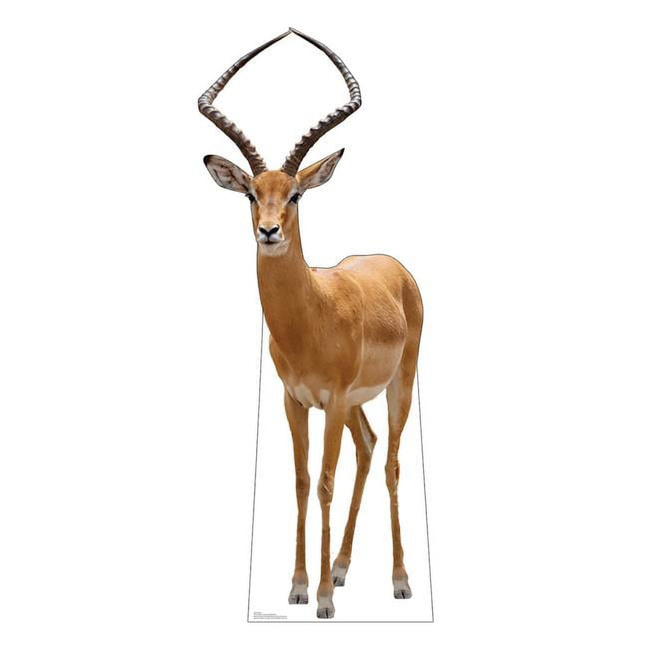66 x 26 in. Impala Life-Size Cardboard Cutout