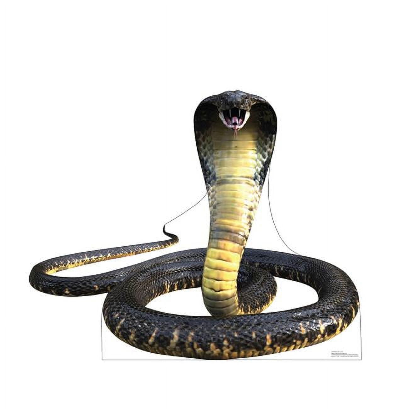 37 x 45 in. King Cobra Life-Size Cardboard Cutout