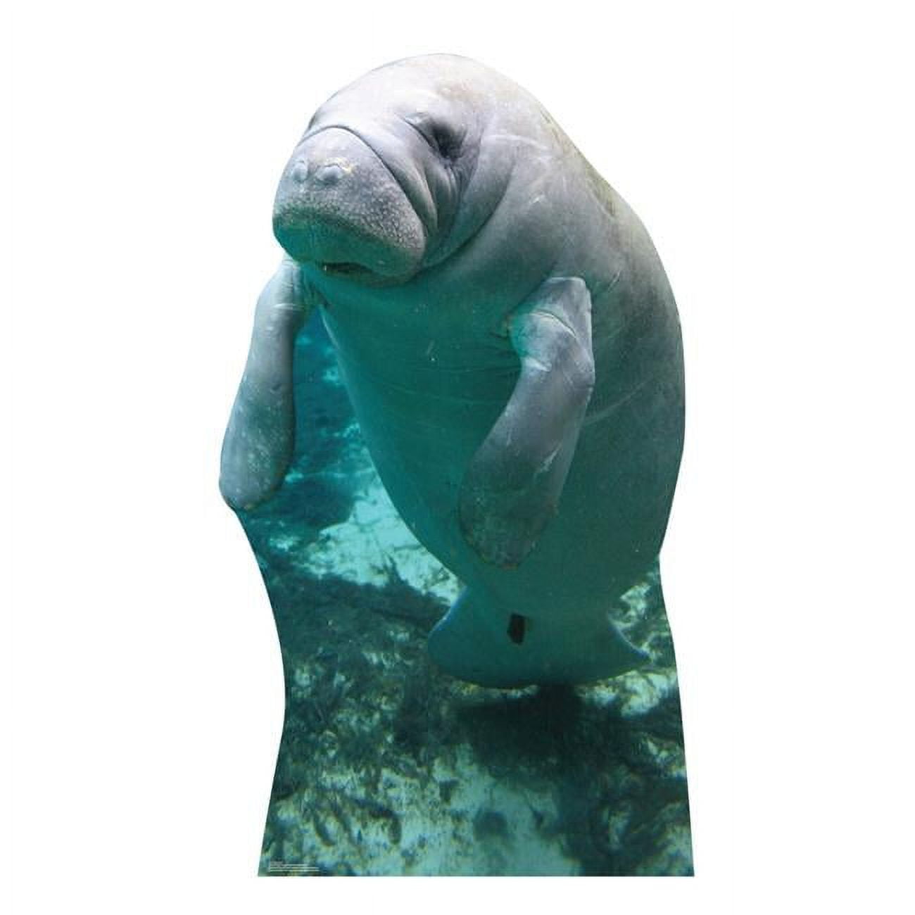 64 x 37 in. Manatees Life-Size Cardboard Cutout