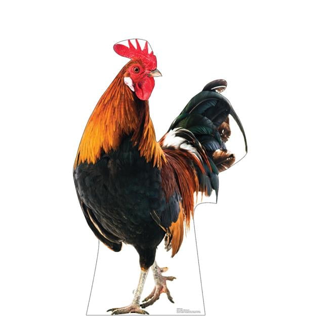 42 x 27 in. Life-Size Rooster Cardboard Cutout Standee