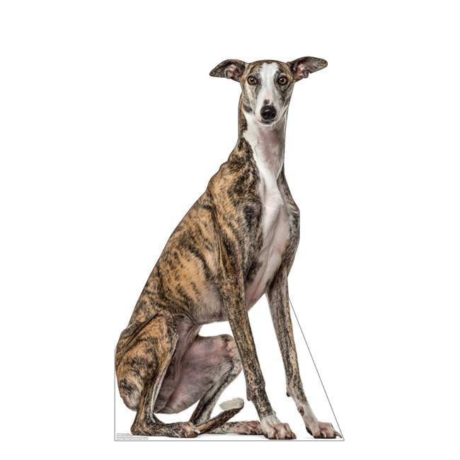 45 x 27 in. Greyhound Dog Life-Size Cardboard Cutout