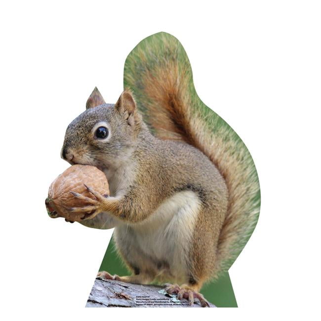 21 x 16 in. Gray Squirrel Life-Size Cardboard Cutout
