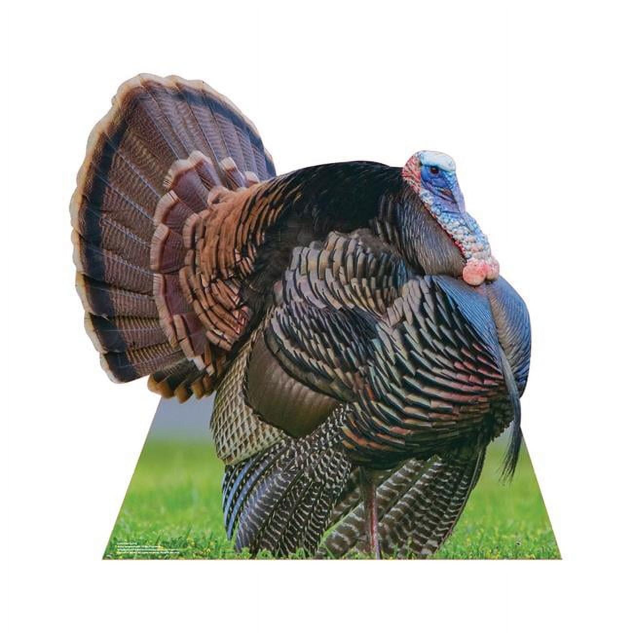 32 x 32 in. Wild Turkey Life-Size Cardboard Cutout