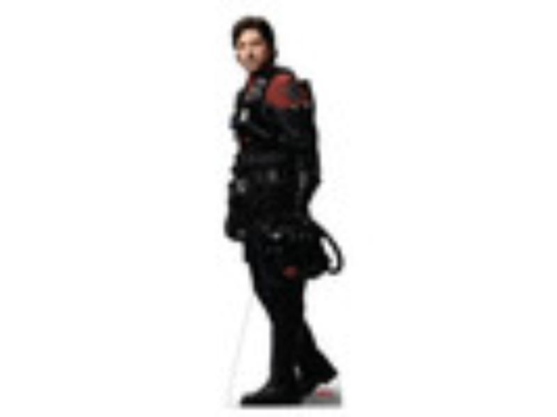 5613 Sienar Test Pilot Cassian Andor Cardboard Cutout - Life Size