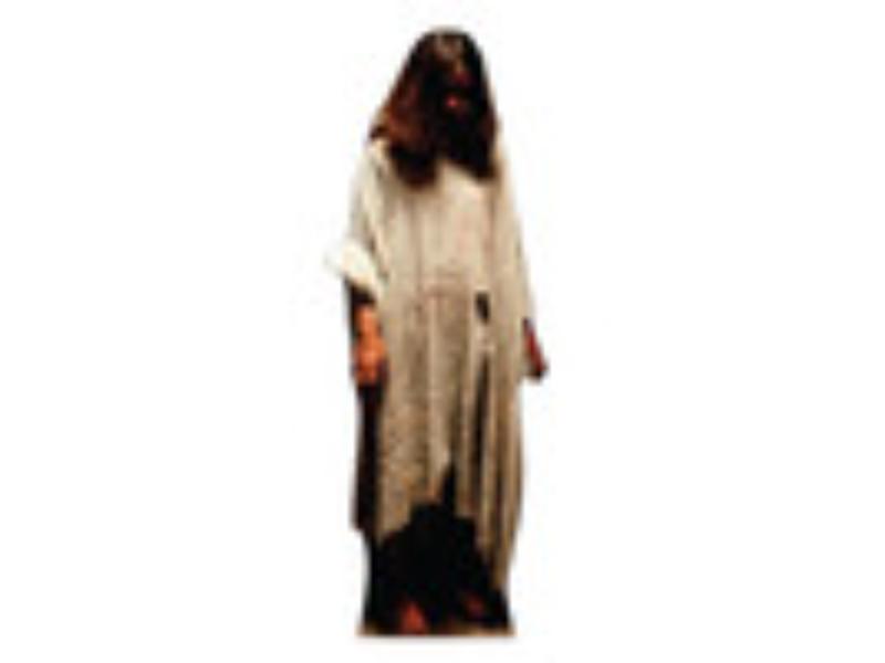 5393 Possessed Cardboard Cutout