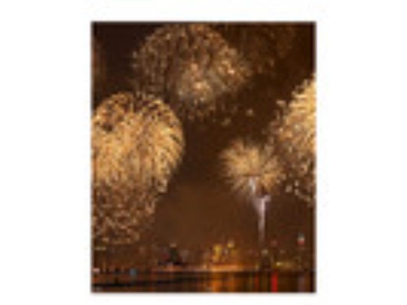 7012 4th of July Fireworks Cardboard Backdrop
