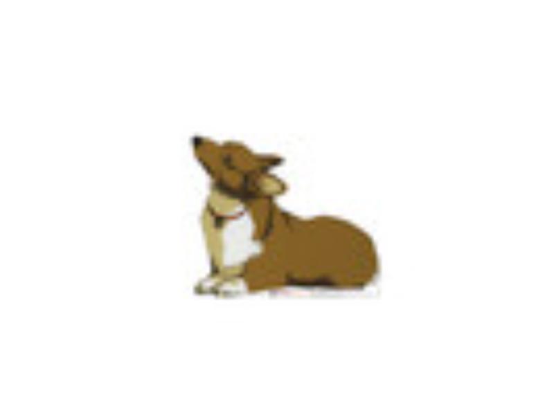 5561 Cowboy Bebop Ein Cardboard Cutout - Life Size