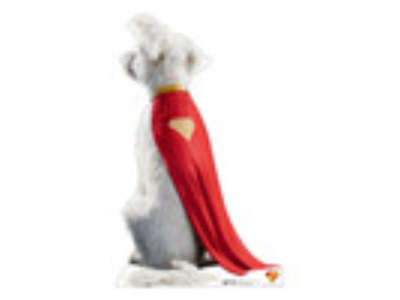 5587 Superman Krypto Cardboard Cutout - Life Size