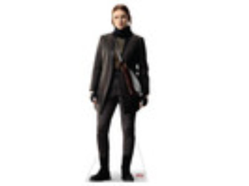 5610 Andor 2 Vel Sartha Cardboard Cutout - Life Size