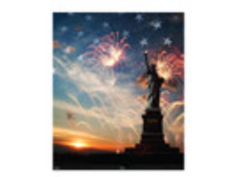 7011 4th of July Patriotic Cardboard Backdrop
