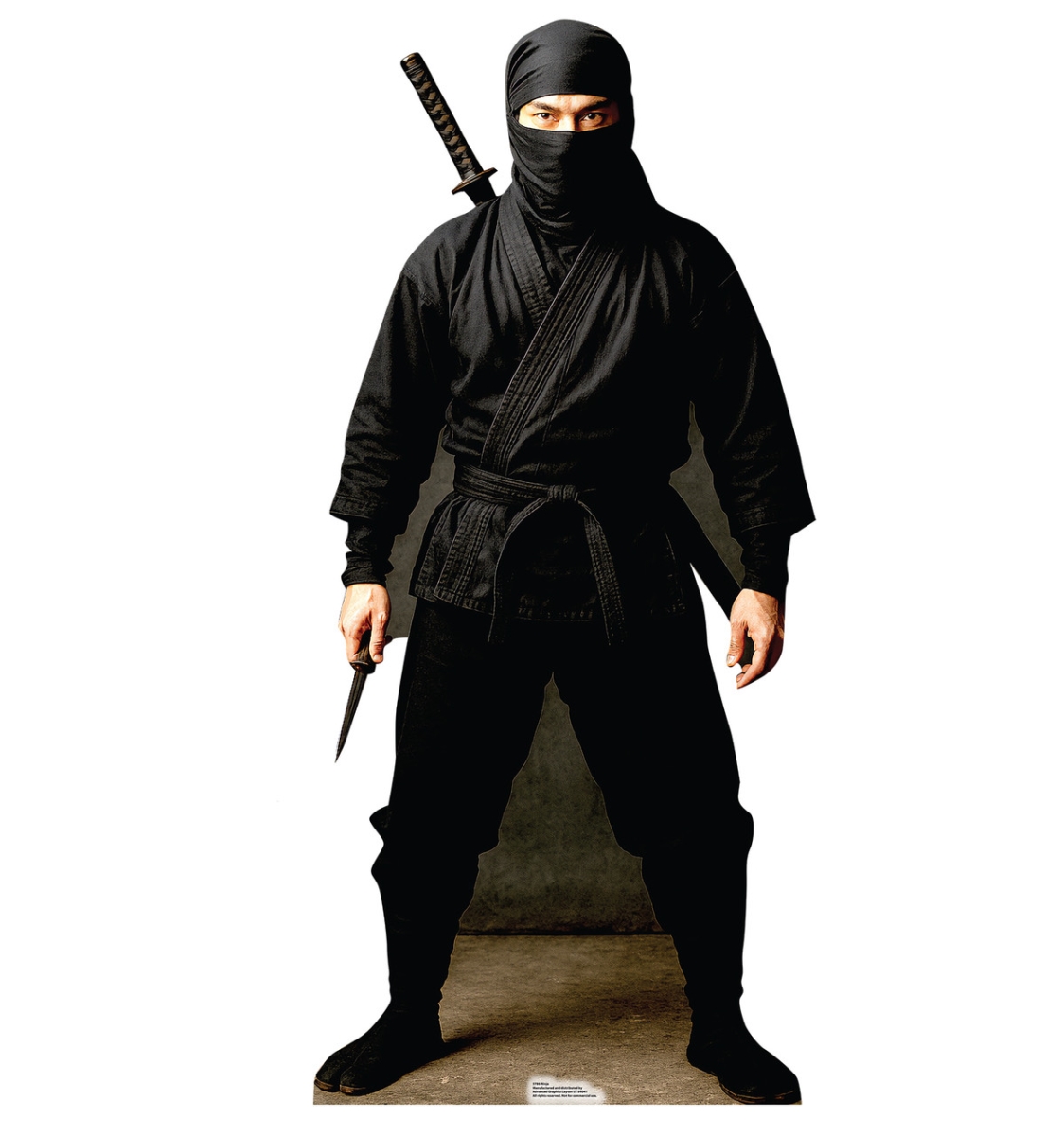 5786 72 x 33 in. Ninja Life-Size Cardboard Cutout Standups