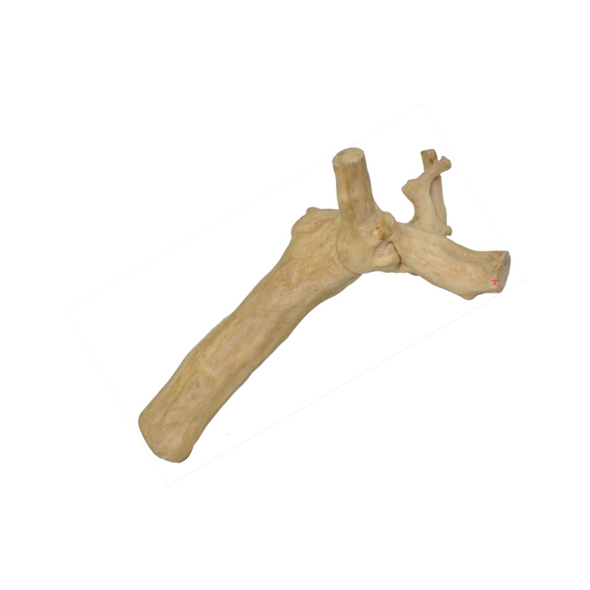 Picture of A&E Cage AE2103 Large Reptile Branch