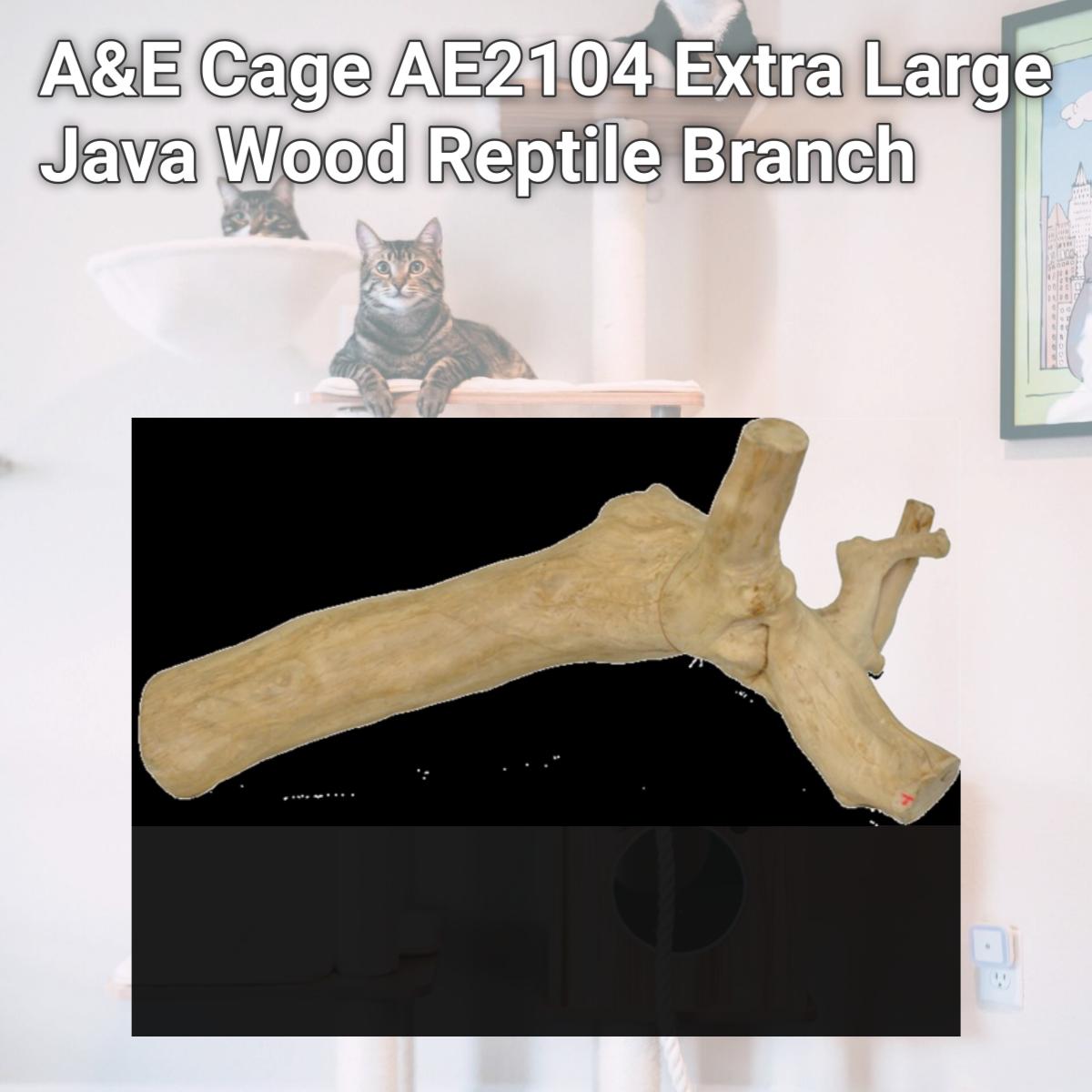 Picture of A&E Cage AE2104 Extra Large Java Wood Reptile Branch