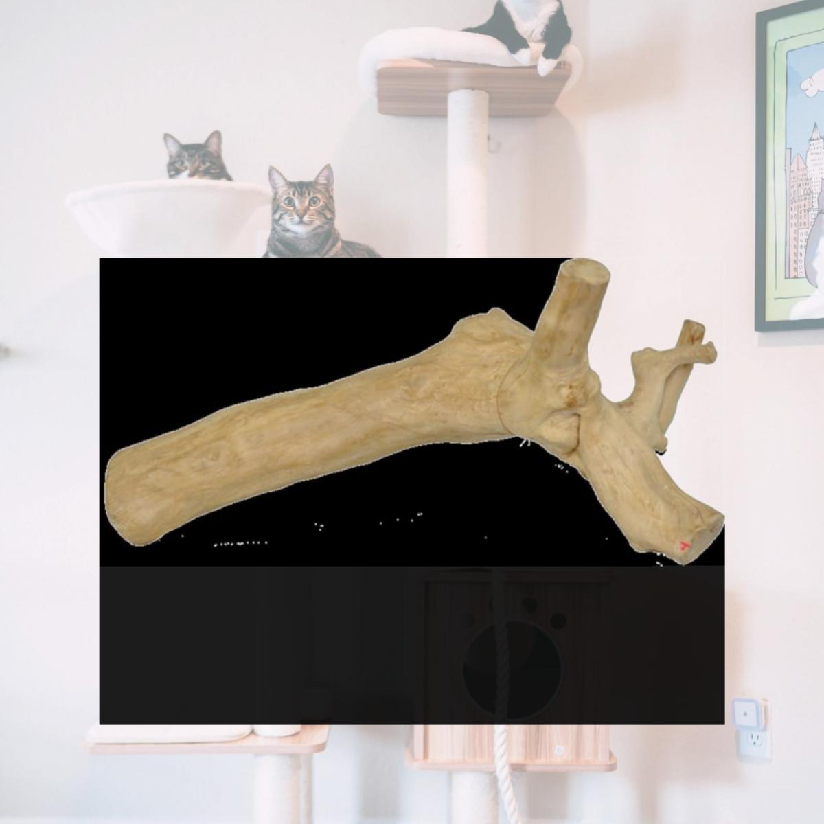 Picture of A&E Cage AE2104 Extra Large Java Wood Reptile Branch