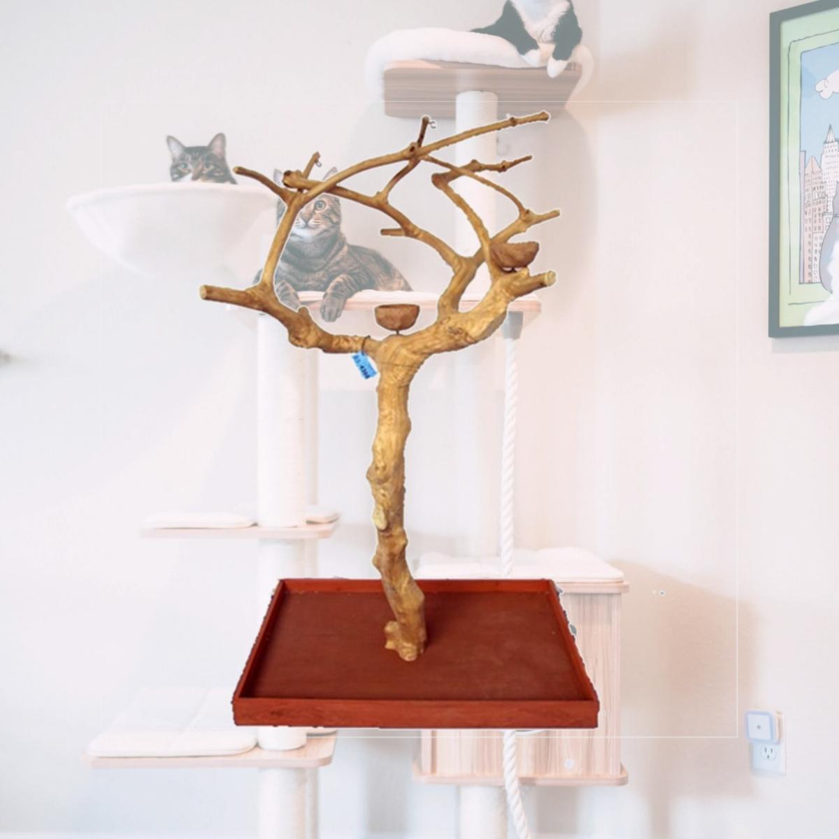 Picture of A&E Cage AE250S Small Java Wood Tree Box