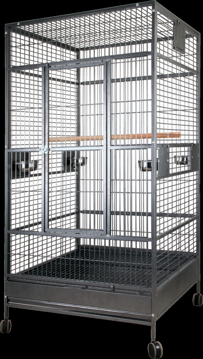 Picture of A&E Cage 4040FL Black 40 x 40 in. Macaw Flight Cage&#44; Black