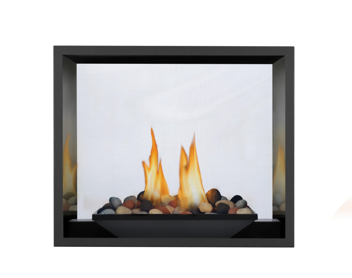 HD81NT-1 High Definition 81 See Thru Direct Vent - Natural Gas