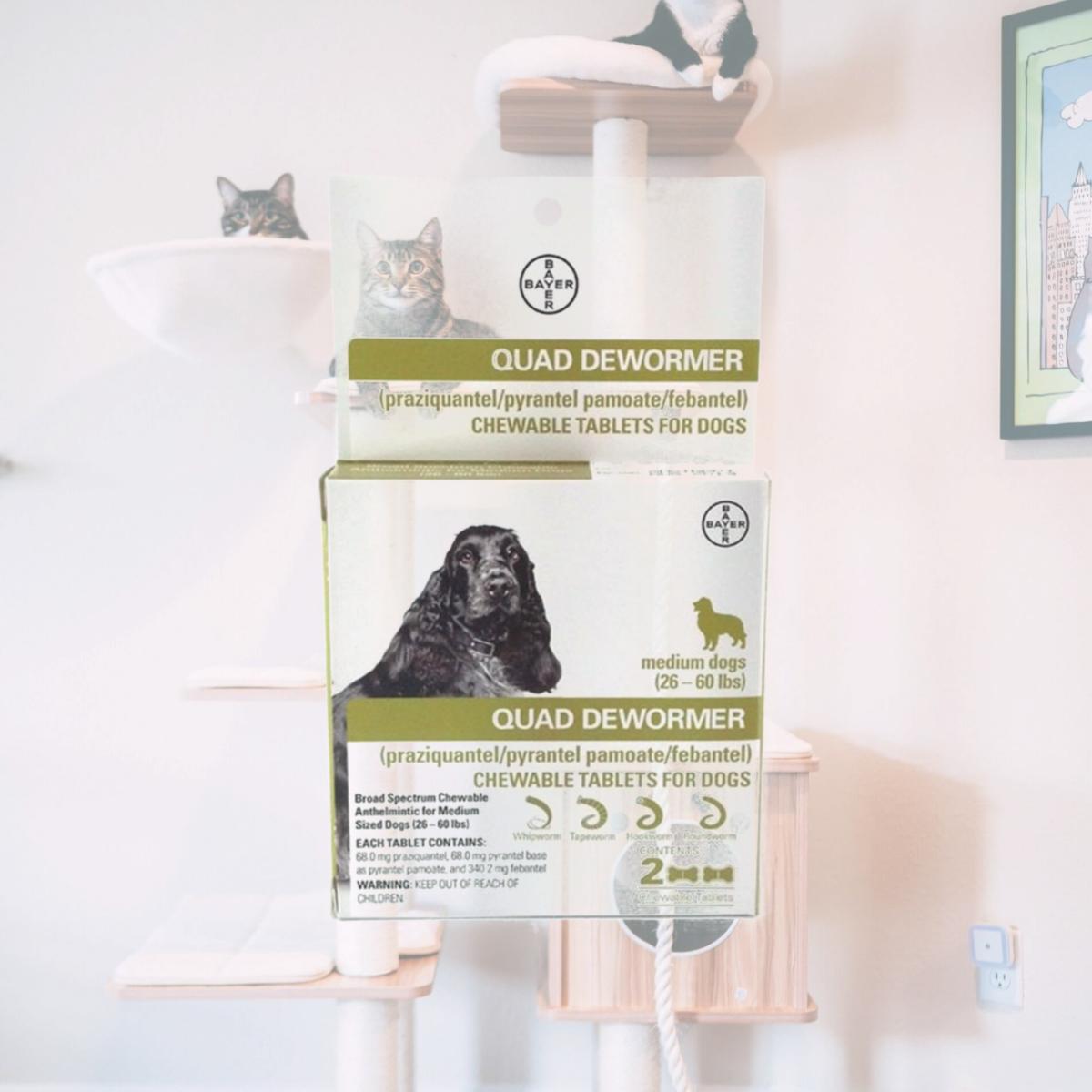 Picture of Bayer HealthCare BY11336 26-60 lbs Bayer Quad Dewormer for Medium Dogs - 2 Chew Tabs
