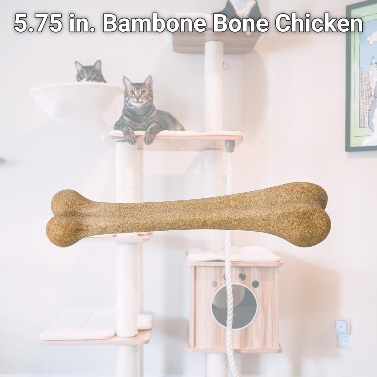 Picture of Ethical Products EP54316 5.75 in. Bambone Bone Chicken