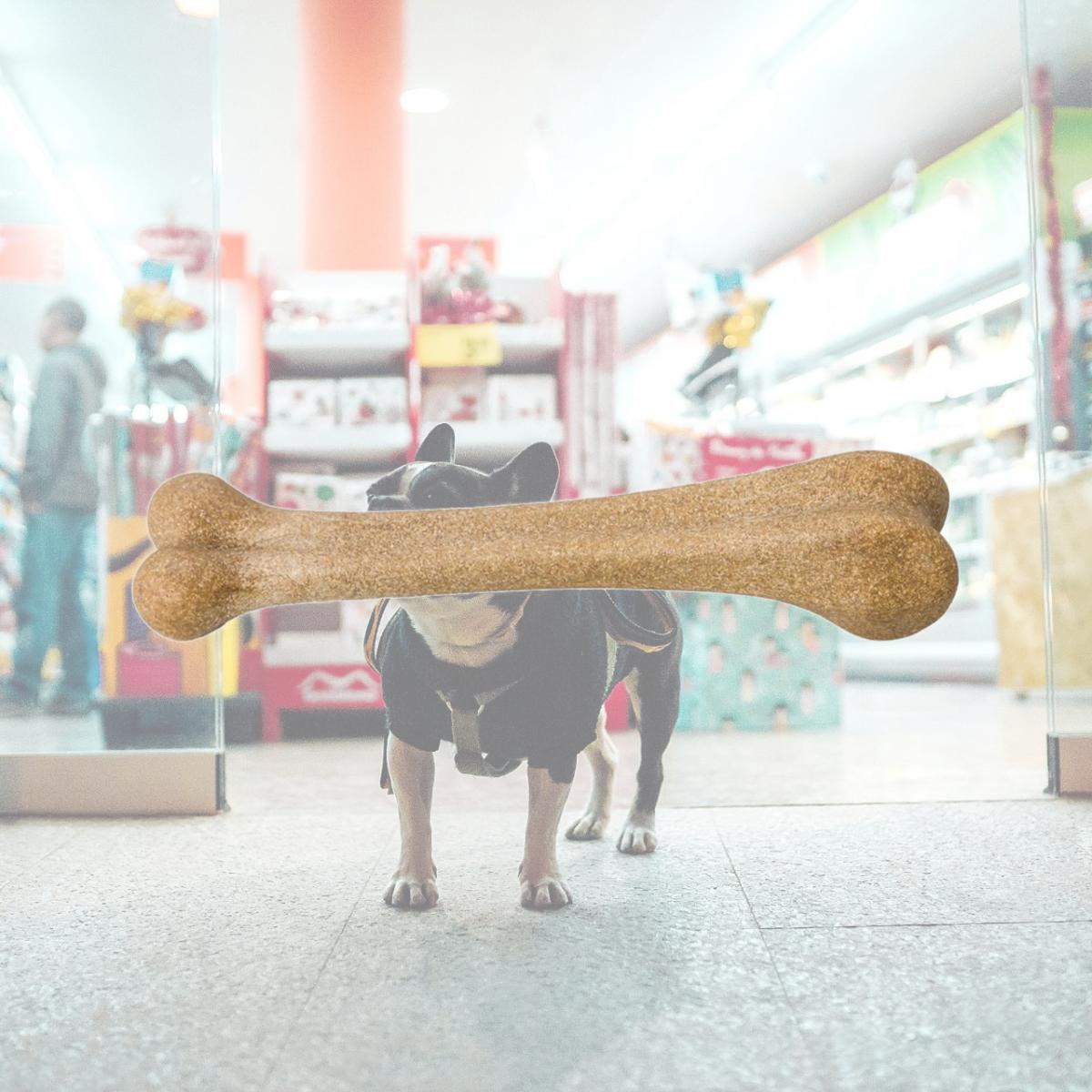 Picture of Ethical Products EP54316 5.75 in. Bambone Bone Chicken